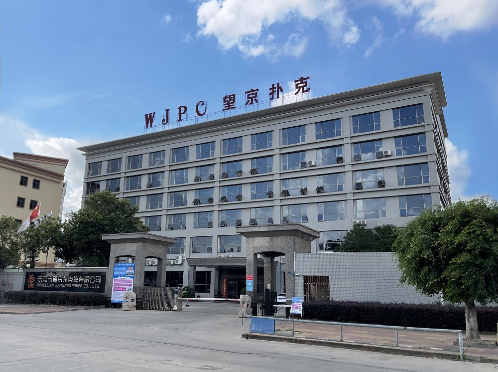 公司：以创新与实力引领卡牌行业发展开元棋牌网站广东望京卡牌科技有限(图5)